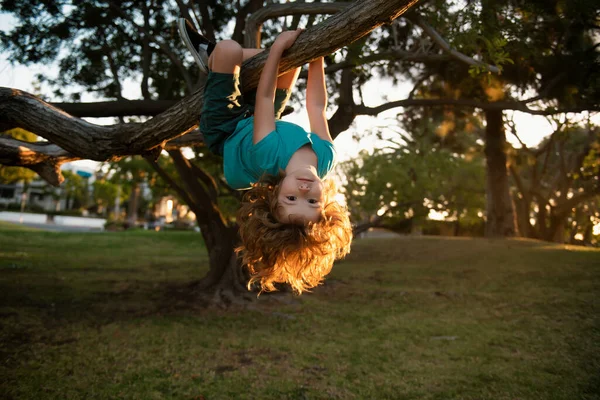 面白い活動的な小さな金髪の子供は木に登るのを楽しんでいる 幼児の子供は 屋外の庭で楽しんで登ることを学ぶ — ストック写真