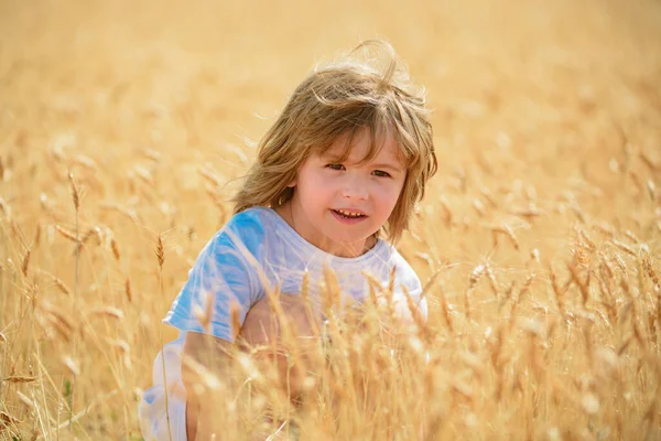 Děti Pšeničném Poli Roztomilý Chlapeček Který Šťastně Kráčí Pšeničným Polem — Stock fotografie