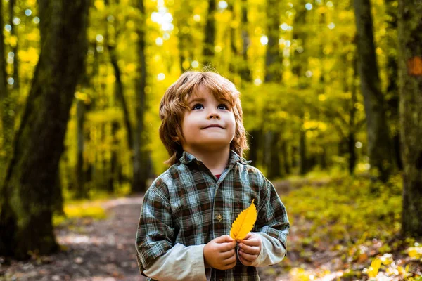 Sonbahar Rüyası Çocuk Sonbahar Doğasında Rüya Görür Çocukluk Hayali Konsepti — Stok fotoğraf
