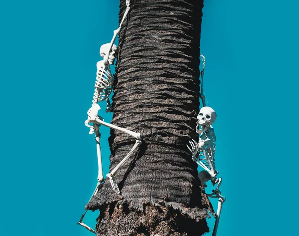 Ανθρώπινος Πειρατικός Σκελετός Για Helloween Απόκριες Σκελετός Διακόσμηση Πανό Τοπίο — Φωτογραφία Αρχείου