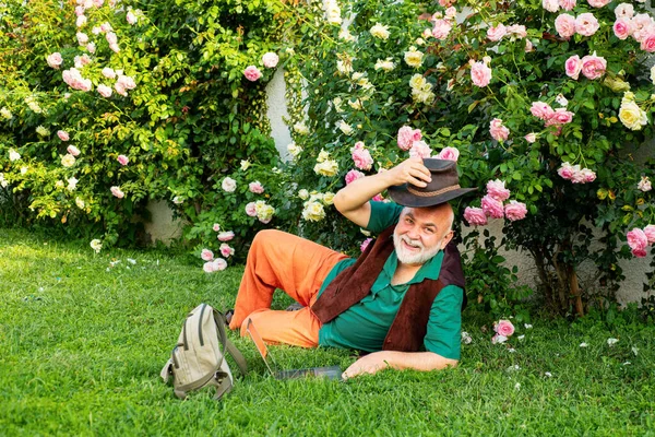 Hombre Mayor Jardín Rosas Jardineros Con Flores Primavera Abuelo Trabajando — Foto de Stock