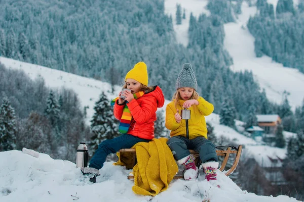 雪の森の中で少年少女が眠っていた 屋外の冬の子供たちはクリスマスと新年を楽しんでいます そりに乗る子供たち — ストック写真