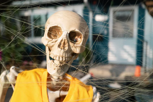 Buon Halloween Skeleton Ritratto Skeleton Outdoor — Foto Stock