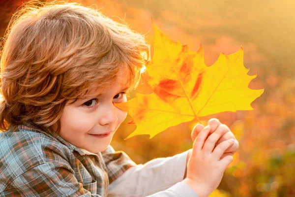 可爱小男孩的秋季肖像特写 小孩子在秋天的公园里玩树叶 — 图库照片