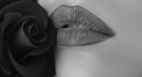 Mooie Vrouw Lippen Mond Met Roos Banner — Stockfoto