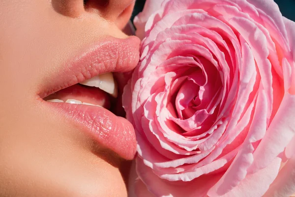 美しいバラと官能的な女性の唇 口紅を閉じて唇 美しいですセクシー女性唇とともにローズ — ストック写真