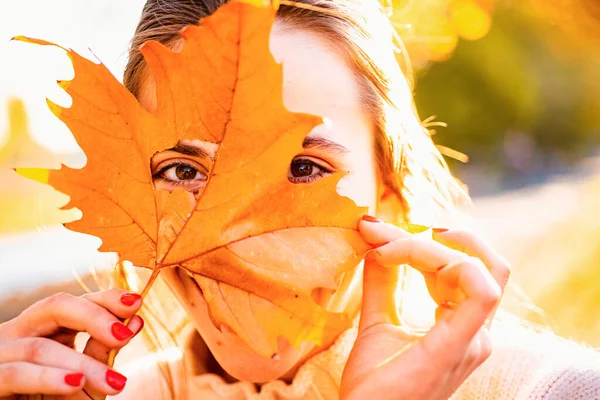 黄色のカエデの葉を保持し 彼女の目を隠す秋の女性 可愛いです女性モデルは黄色の葉の外を見る — ストック写真