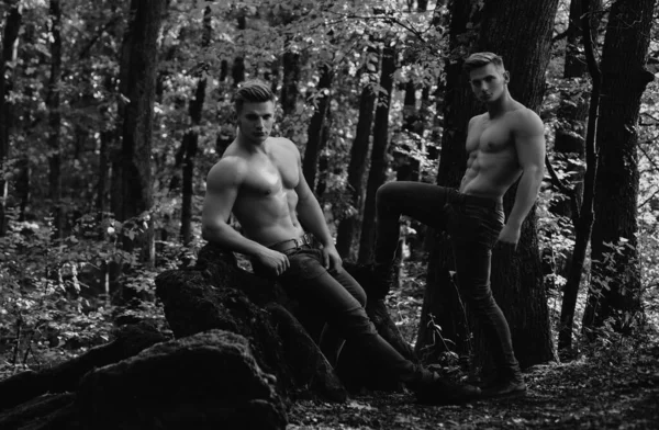 Poder Dos Homens Muscular Caras Com Sexy Torso Floresta — Fotografia de Stock