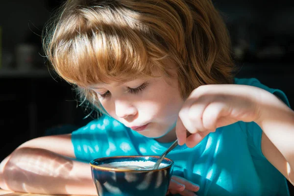 Økologisk Hjemmemad Børns Ernæring Den Lille Dreng Spiser Suppe Sund - Stock-foto