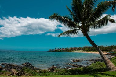 Peyzaj sükunet plajı. Hawaii arka planı, tropik Hawaii cenneti