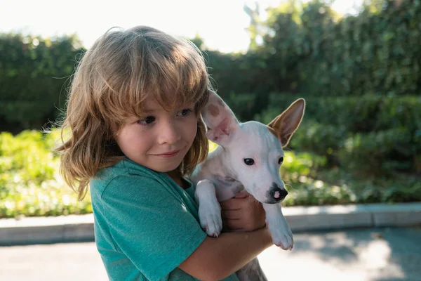 Portrait Child Boy Plays Dog Outdoor Child Lovingly Embraces His — Stock Photo, Image