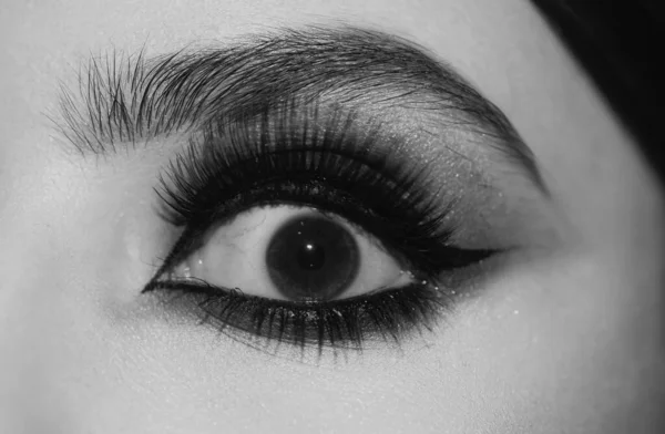 Oczy Bliska Piękne Oko — Zdjęcie stockowe