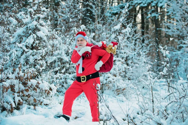 Kerstman Komt Het Sneeuwwoud — Stockfoto