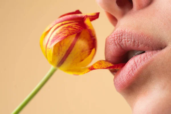 Lábios Gordos Lábios Naturais Com Tulipa Boca Mulher Sexy Tulipa — Fotografia de Stock