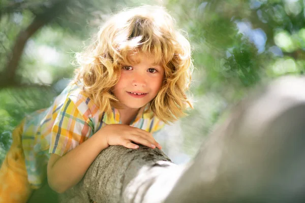 Kind Auf Einem Baum Versicherungskinder Krankenversicherungskonzept Für Kinder Gesundheitsschutz Kind — Stockfoto