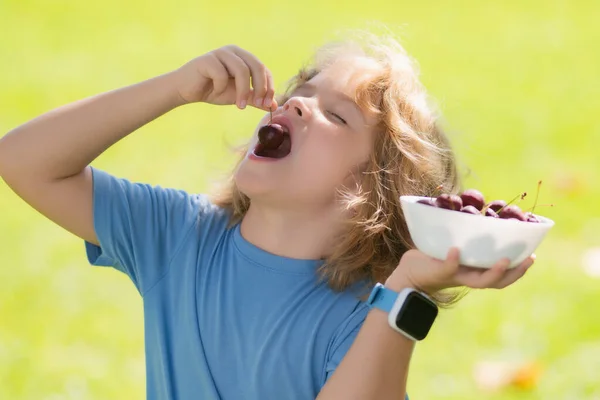 小孩嘴里含着樱桃给孩子们的樱桃夏天绿草背景上的儿童托盘樱桃 — 图库照片