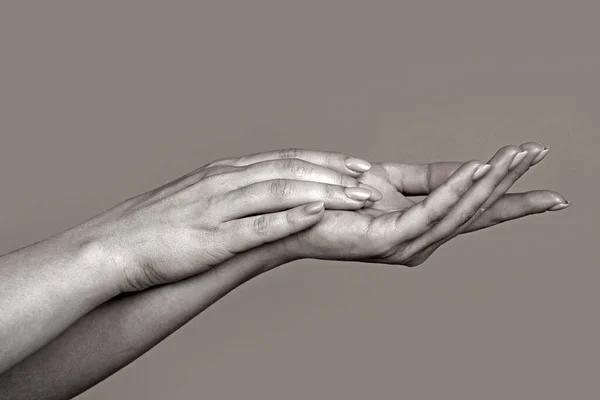 Handen Aanraken Steek Hand Uit Sensuele Aanraking Mooie Vrouwenhanden Vrouwelijke — Stockfoto
