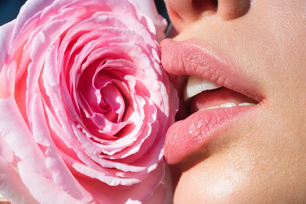 Παχουλά Χείλη Γλείφουν Τριαντάφυλλο Φυσικά Χείλη Τριαντάφυλλο Σέξι Γυναίκα Στόμα — Φωτογραφία Αρχείου