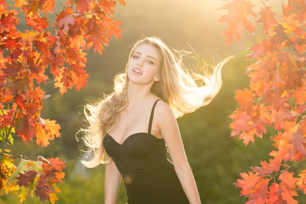 葉を持つ秋のロマンスの女性 葉の日の女性モデル 夢とライフスタイル 美しい屋外の肖像画 顔に葉を持つ無料の豪華な官能的な自然な柔らかい魅力的な女の子 秋の自然 — ストック写真