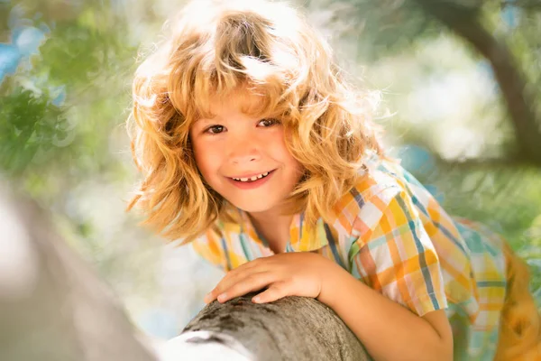 Child Tree Insurance Kids Health Care Insurance Concept Kids Summer — Stock Photo, Image