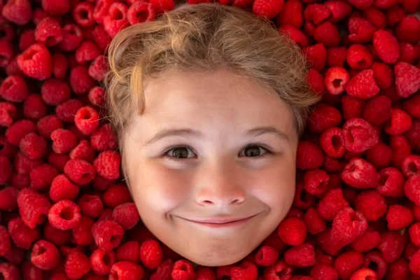 Happy Little Child Face Raspberry Child Picking Raspberry Kids Pick — Stock Photo, Image