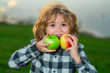 Elma tutan çocuk, yaz parkı geçmişi. Çocuk yeşil elma yiyor. Elmalı mutlu bir çocuğun portresi. Sağlıklı yemek.