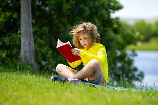 Yazlık Parkta Kitap Okuyan Sevimli Bir Çocuğun Açık Hava Portresi — Stok fotoğraf