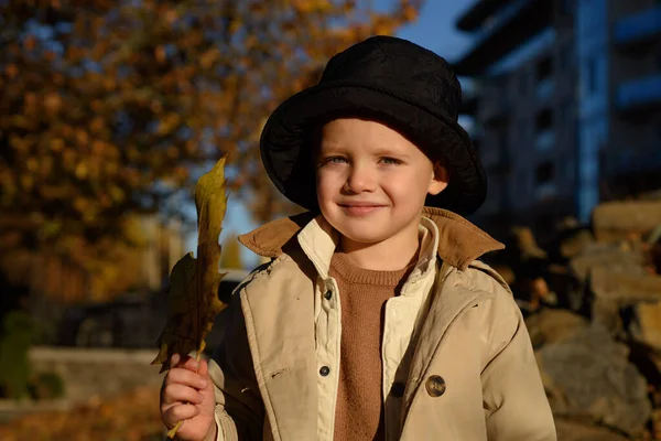 Little Child Playing Autumn Nature Walk Outdoors Activities Happy Fall — Foto Stock