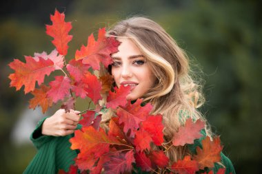 Sarı akçaağaç yapraklı neşeli bir kadının sonbahar portresi. Yaprakları sonbahar yapraklı güzel kız portresi. Sonbahar yapraklarının yanında güzel bir kızın portresi. Romantik şefkat kadını