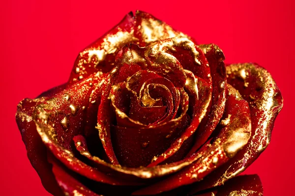 Złota Róża Zbliżenie Złotych Róż Czarnym Tle Kreatywna Koncepcja Kwiatowa — Zdjęcie stockowe