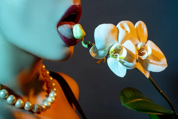 Orkidé Och Kvinnoläppar Orkidé Blomma Sensuell Kvinna Mun Sexig Förförisk — Stockfoto