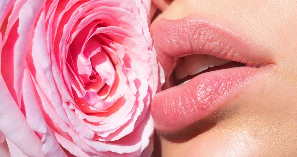 Pulchne Zmysłowe Usta Usta Różową Różą Zmysłowa Kobieta Usta Makro — Zdjęcie stockowe