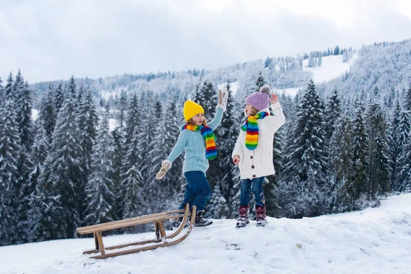 Dzieci Jeżdżą Sankach Dzieci Syn Córka Bawią Się Śniegu Zimie — Zdjęcie stockowe