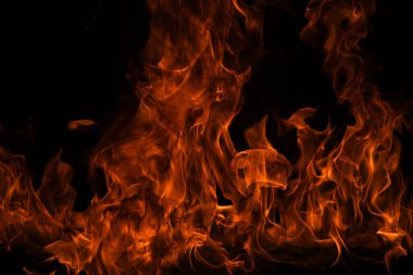 Siyah arka planda yangın alevleri. Ateş, izole edilmiş, soyut bir yapı. Yanan ateşle yanan efekt