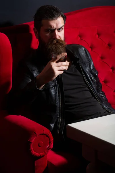 Bearded Man Glass Whiskey Expensive Drink Male Drinking Brandy Cognac — Stock Photo, Image