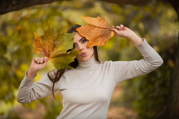 Elegante niña con estilo en medias de sombrero de abrigo gris de moda  caminando en el parque de otoño al aire libre jugando con hojas de follaje  amarillo sesión de fotos de