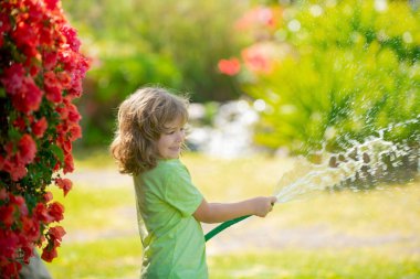 Küçük mutlu çocuk ev bahçesinde eğleniyor. Çocuk bahçe hortumunu tutuyor. Hasat zamanı arka bahçede çocuklar için açık hava oyunları..
