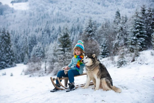 Child Boy Sledding Winter Kid Riding Snow Slides Winter Dog — Stock Photo, Image