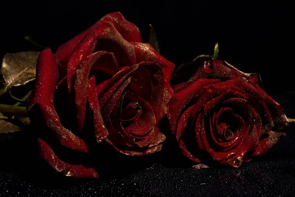 金黄色花瓣的玫瑰 黄金玫瑰做的衣服 金色玫瑰墙纸 金玫瑰花 装饰玫瑰设计元素 玫瑰花纹 爱性感和情人节的概念 — 图库照片