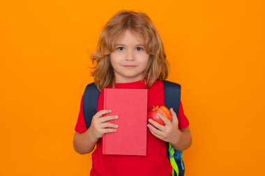 School child student learning, study english language at school. Elementary school child. Portrait of funny pupil learning. Language school
