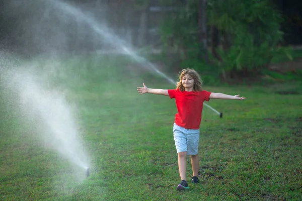 Kid Play Garden Irrigation Watering Sprinkler System Watering Grass Automatic — Stock Photo, Image