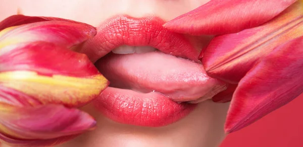 Пухкі Губи Лижуть Тюльпан Натуральні Губи Тюльпаном Сексуальна Жінка Рот — стокове фото
