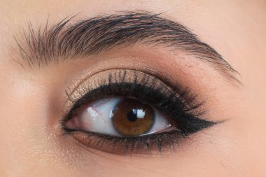 Kaş şekillendirme. Kadının kaş makyajı yaptırmasına yakın çekim. Kaşlarını tarama makrosu. Mükemmel bir kaş şekli, kahverengi göz farı ve uzun kirpikleri. Güzel kaşlı kız.