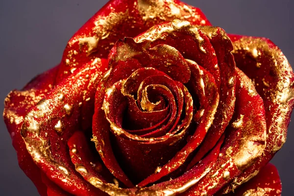 Zbliżenie Złotych Róż Czarnym Tle Kreatywna Koncepcja Kwiatowa Tapeta Kwiatowa — Zdjęcie stockowe