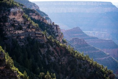 National Park, Arizona. Canyon desert panoramic view landscape