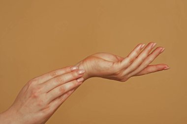 Ellerini uzat. Elini uzat. Şehvetli bir dokunuş. Güzel Kadın Elleri. Kadın Elleri Kremi, Losyon. Spa ve Manikür konsepti. Kadın eli işte. Yumuşak ten, cilt konsepti. El Cilt Bakımı