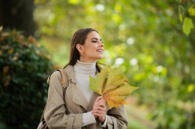 Sonbahar parkında genç bir kadın. Sıcak güneşli hava. Sonbahar konsepti. Merhaba sonbahar. Sonbahar sarısı yaprakları olan mutlu bir kadın. Doğada güzel sonbahar zamanı