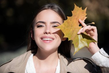 Sarı akçaağaç yapraklı neşeli bir kadının sonbahar portresi. Yaprakları sonbahar yapraklı güzel kız portresi. Sonbahar yapraklarının yanında güzel bir kızın portresi. Romantik şefkat kadını