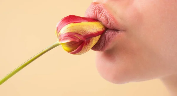 Lábios Sexy Lábios Naturais Com Flor Sexo Oral Boca Mulher — Fotografia de Stock