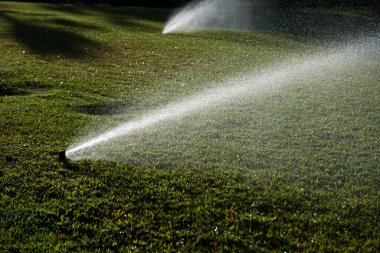 Çimleri suluyorum. Fıskiyeler çimenleri suluyor, bahçedeki yeşil çimenler. Otomatik sulama sistemi yeşil bir parkta çalışıyor, çimenleri suluyor. Bahçede sulama bahçesi var. Çim fıskiyesi